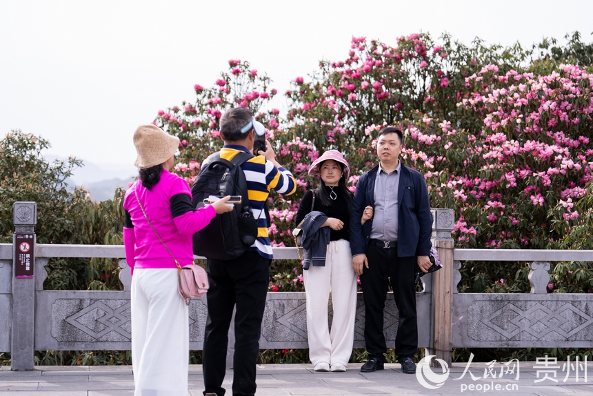 前來賞花的游客在盛開的杜鵑花前打卡拍照。人民網(wǎng)記者 涂敏攝