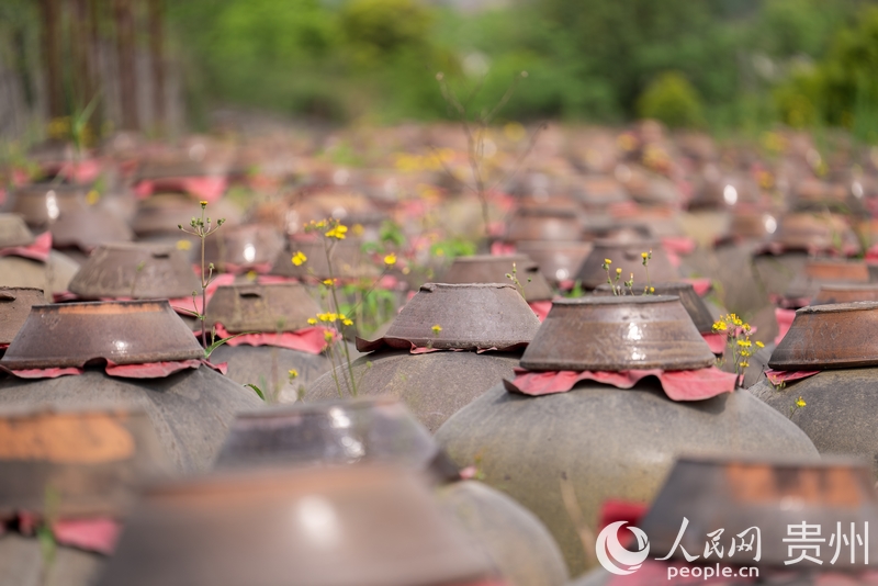 園區(qū)內(nèi)正在發(fā)酵的醬香醋胚。人民網(wǎng)記者 涂敏攝
