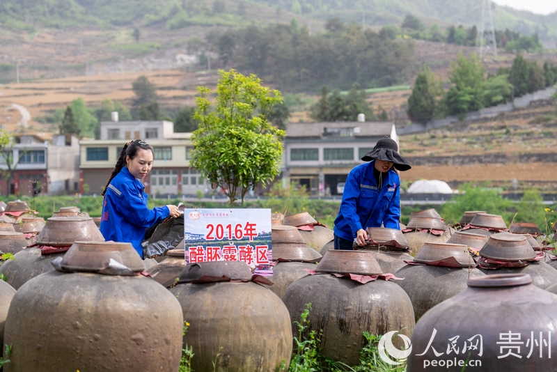 工作人員正在檢查醋胚的成色及發(fā)酵情況。人民網(wǎng)記者 涂敏攝