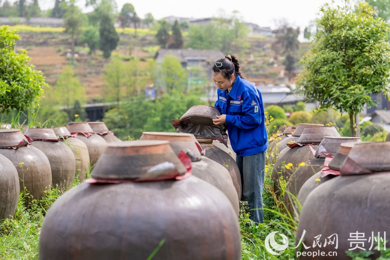 工作人員正在檢查醋胚的成色及發(fā)酵情況。人民網(wǎng)記者 涂敏攝