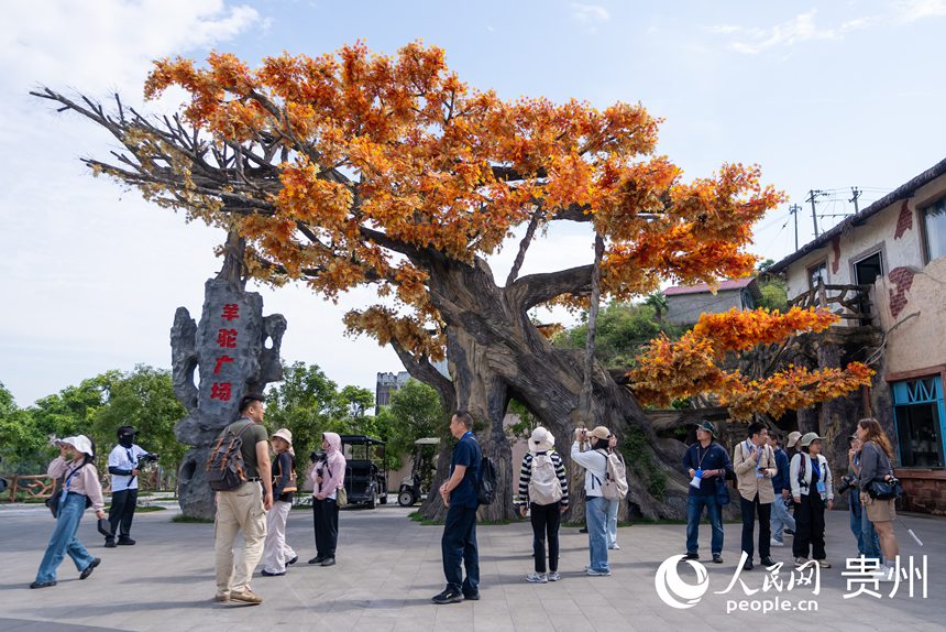 游客在景區(qū)內(nèi)游覽。人民網(wǎng)記者 涂敏攝