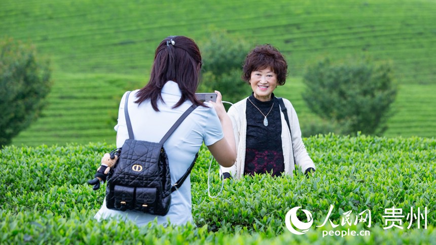 游客在茶園拍照打卡。人民網(wǎng) 黃小桃攝