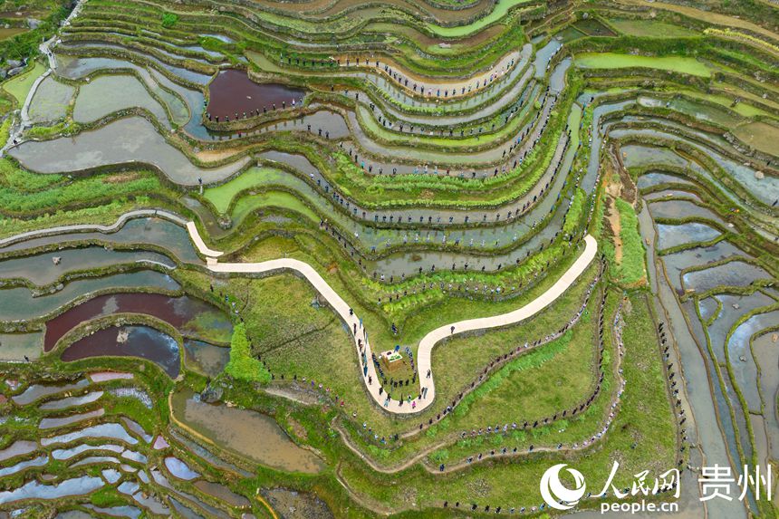 航拍貴州省從江縣加榜梯田。人民網(wǎng) 陽(yáng)茜攝