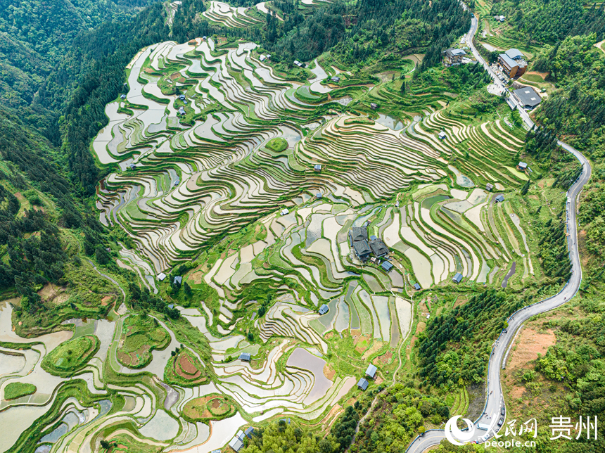 加榜梯田。人民網(wǎng) 陽茜攝