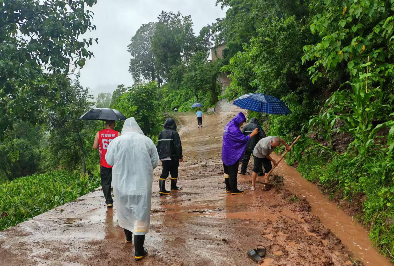 黨員干部冒雨清理村道泥濘路面。稅會(huì)靜攝