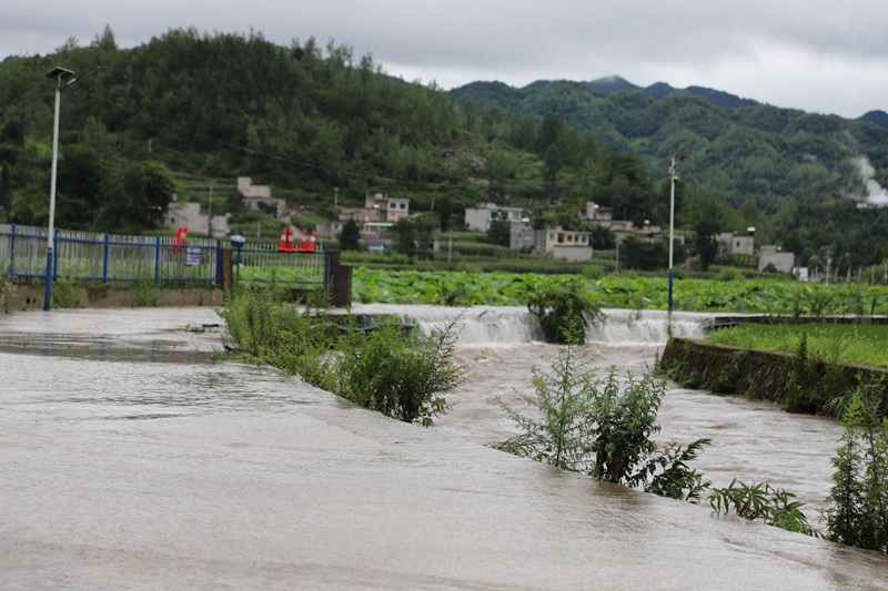 因暴雨侵襲，路面淤積大量積水。