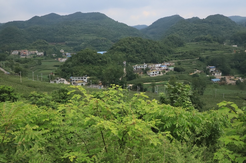 六廣鎮(zhèn)一角。